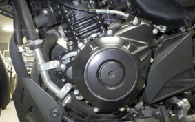 SUZUKI V-STROM 250