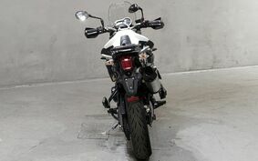 TRIUMPH TIGER 800 2011 TRE15