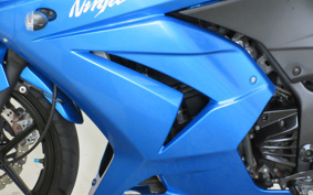 KAWASAKI NINJA 250R EX250K