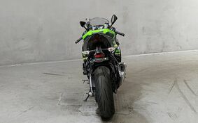 KAWASAKI NINJA ZX-6R 2019 ZX636G