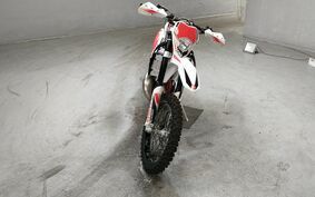 GASGAS EC125 レーシング 不明