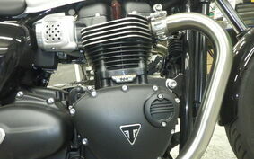 TRIUMPH BONNEVILLE T100 2024