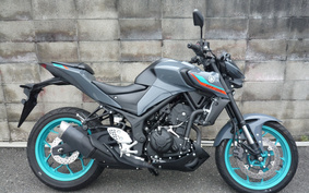 YAMAHA MT-25 RG10