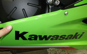 KAWASAKI NINJA ZX-6R A 2024 ZX636J