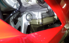 DUCATI 1199 PANIGALE R 2013