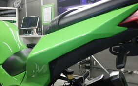 KAWASAKI NINJA 250 EX250L