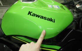 KAWASAKI NINJA ZX-6R A 2019 ZX636G