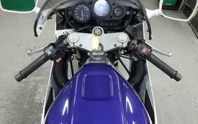 YAMAHA FZR250 R 3LN