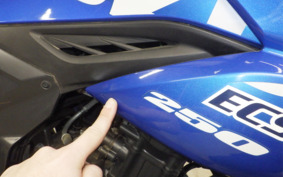 SUZUKI GIXXER 250 ED22B