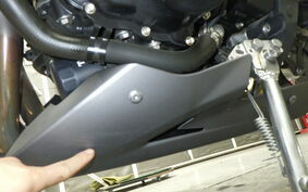 TRIUMPH STREET TRIPLE R 2011