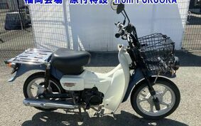 SUZUKI バーディ50FI BA43A