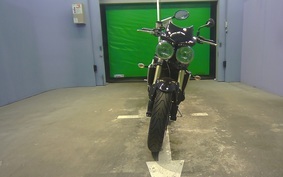 TRIUMPH SPEED TRIPLE 2007 E5855R