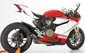 DUCATI 1199パニガーレSトリコ 2012 14BPW