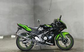 KAWASAKI NINJA 150 RR KR150P