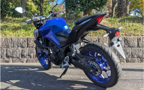 YAMAHA MT-25 RG43J