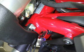 DUCATI MONSTER 797 2020